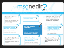 Tablet Screenshot of msgnedir.com